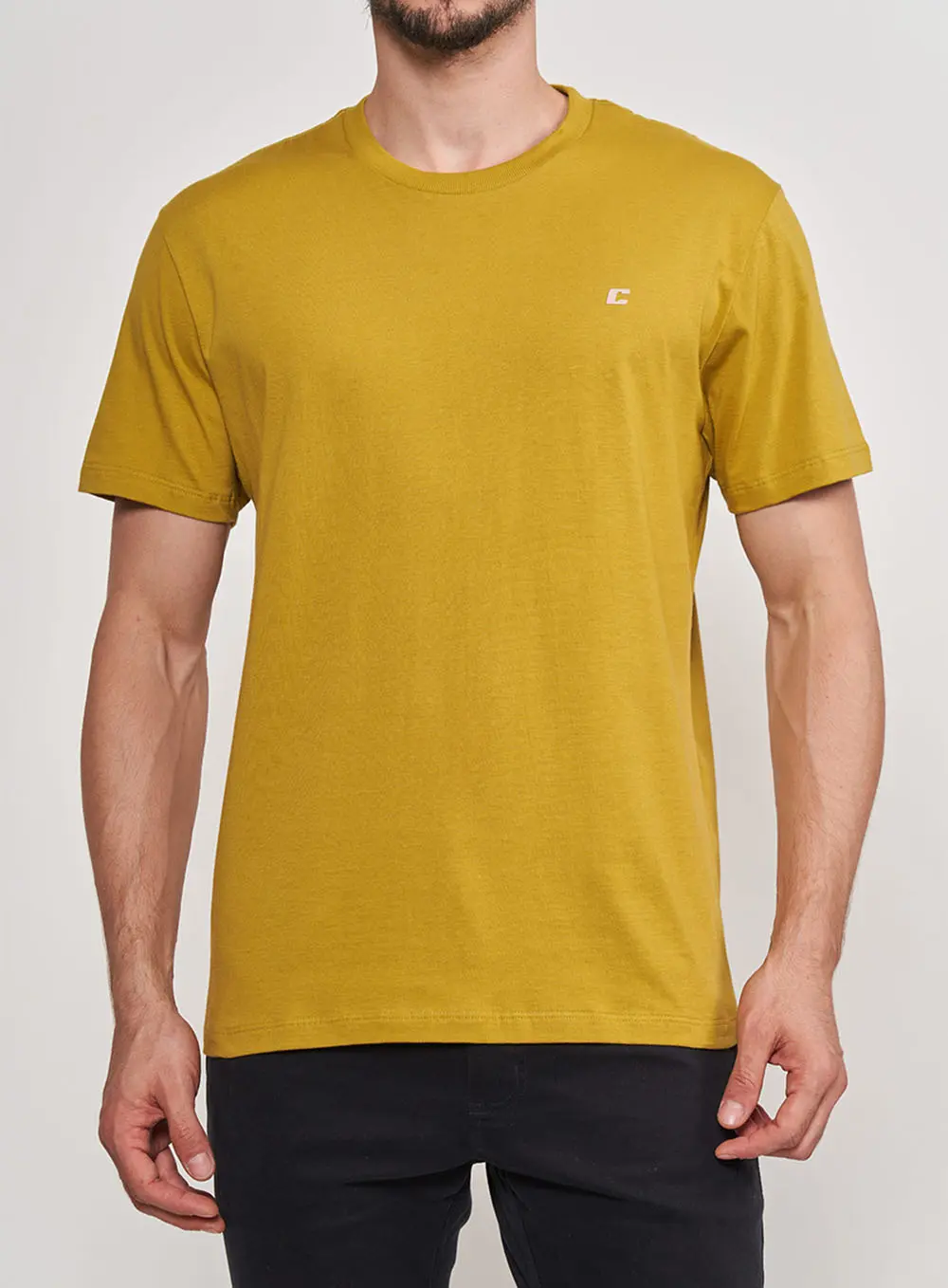 Camiseta Regular Básica Verde Verde Biome