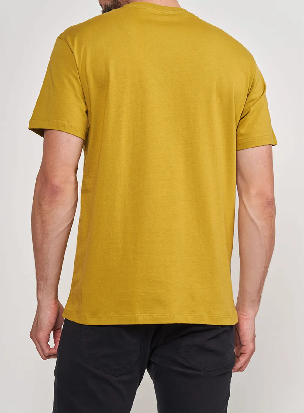Camiseta Regular Básica Verde Verde Biome