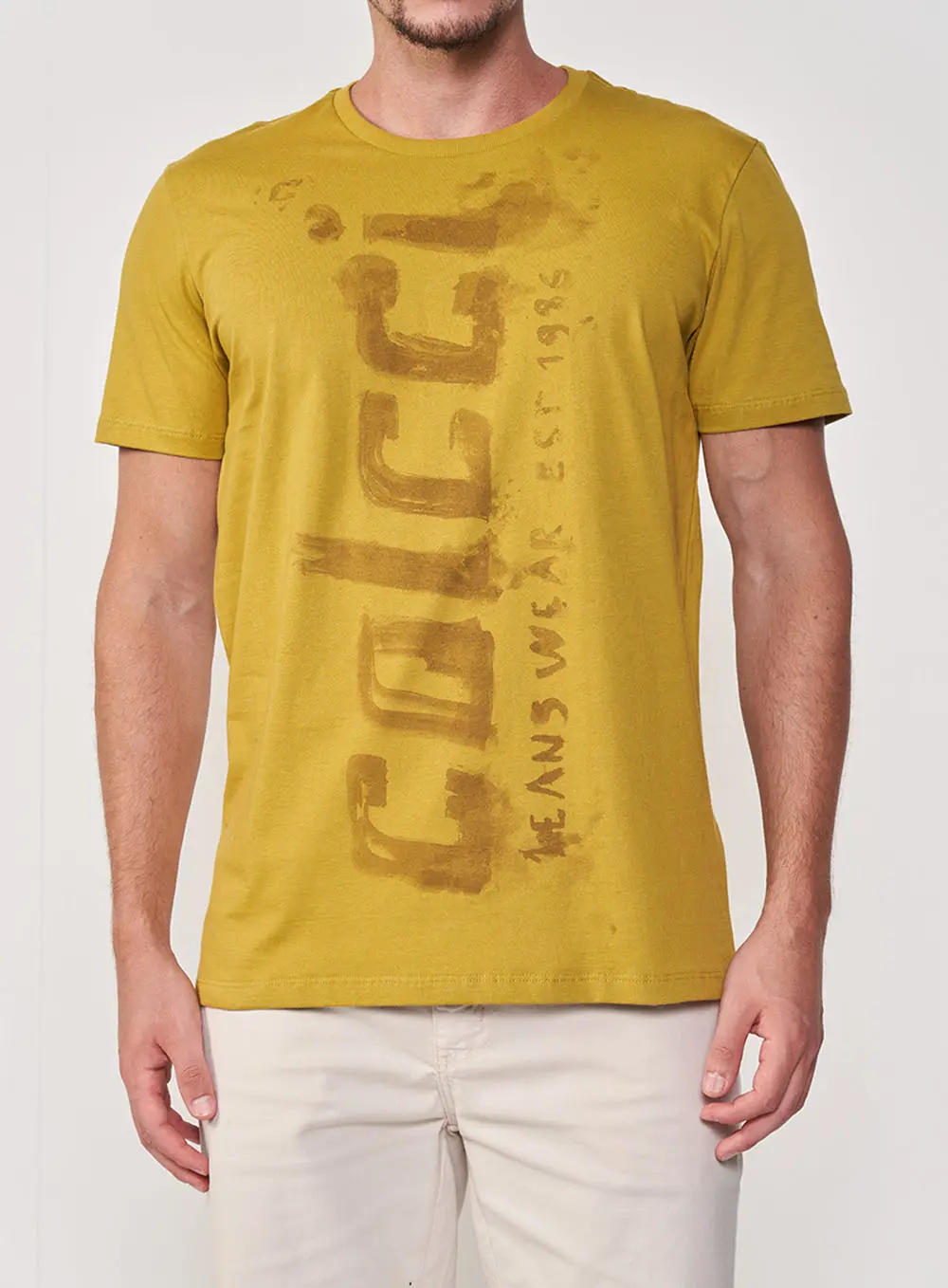 Camiseta Basica Slim Colcci Verde Biome