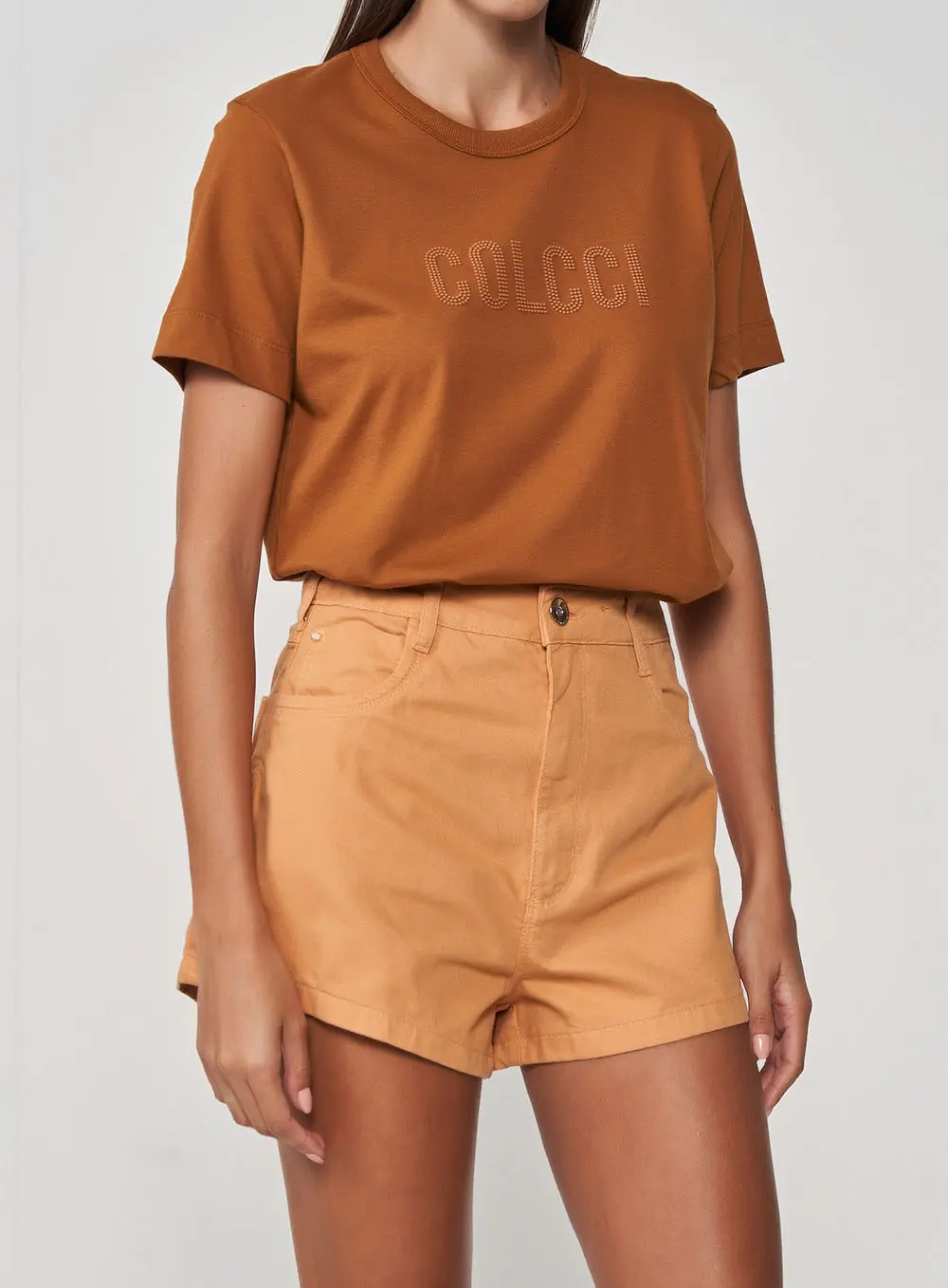 Camiseta Comfy Logomania Gola Com Ribana Marrom