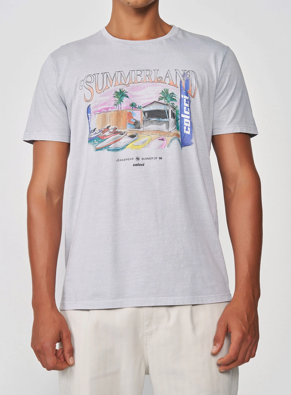 Camiseta Slim Summerland Cinza