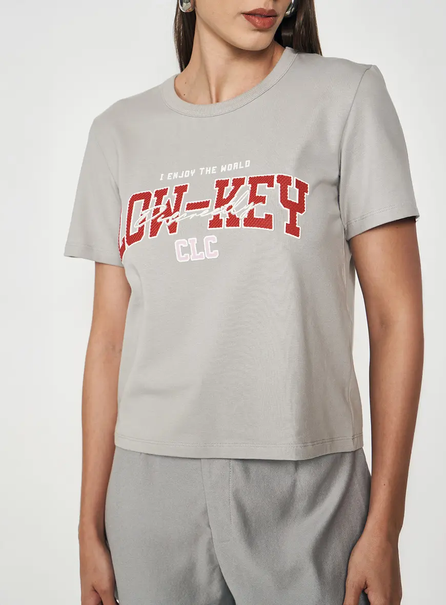 Camiseta Regular Low-key Cinza Gris 1