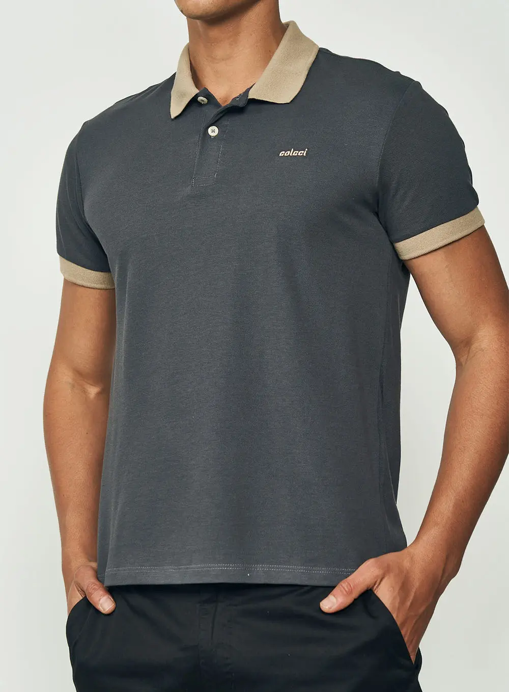 Polo Panthéon Classique Cinza