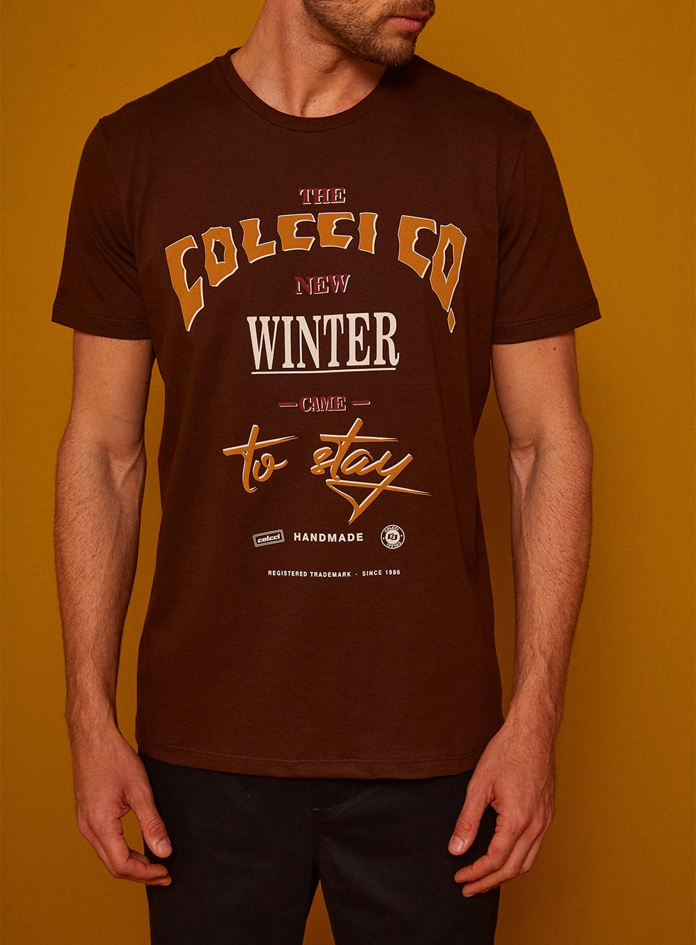 Camiseta Estampada Slim Marrom