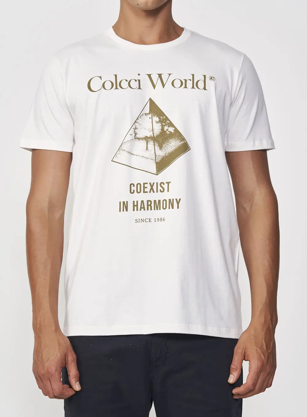 Camiseta Coexist World Off Shell
