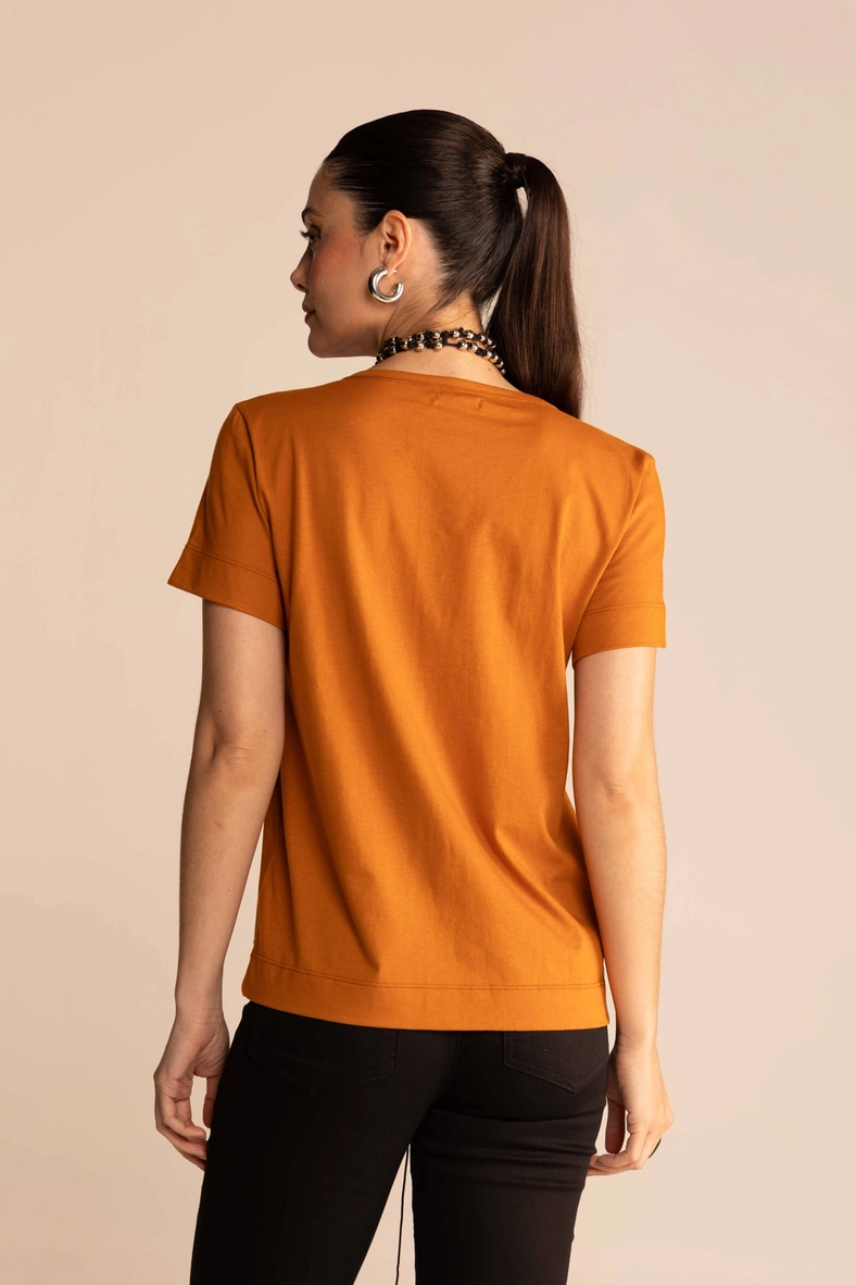 Camiseta Gola V Marrom 3