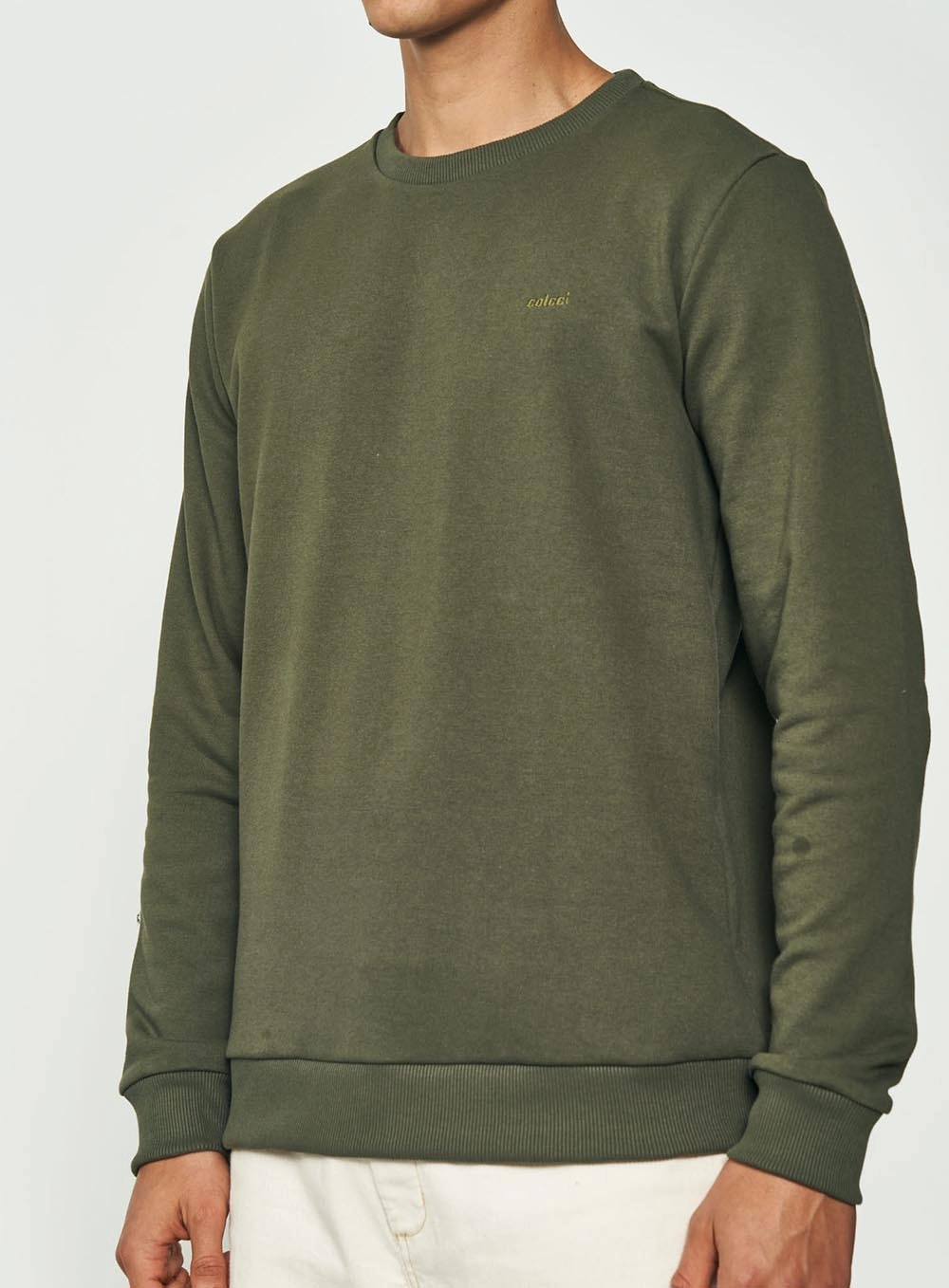 Blusão De Moletom Masculino Essential Gola Careca Verde Demetri