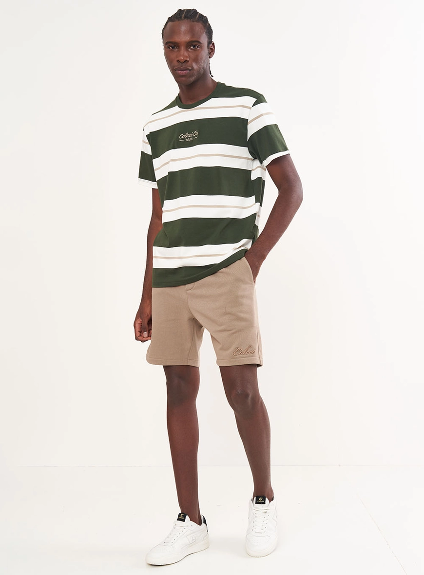 Camiseta Masculina Listrada