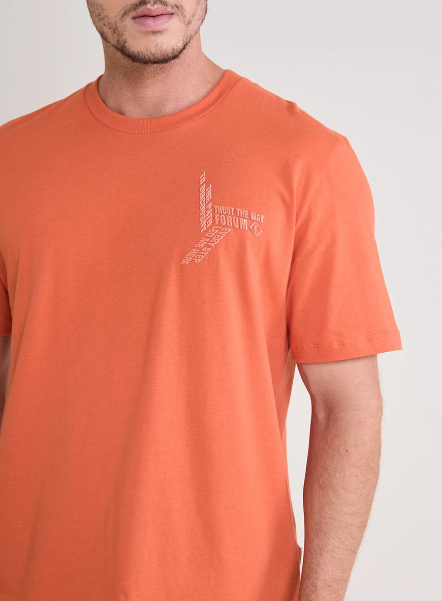 Camiseta Masculina New Box Com Detalhe Laranja