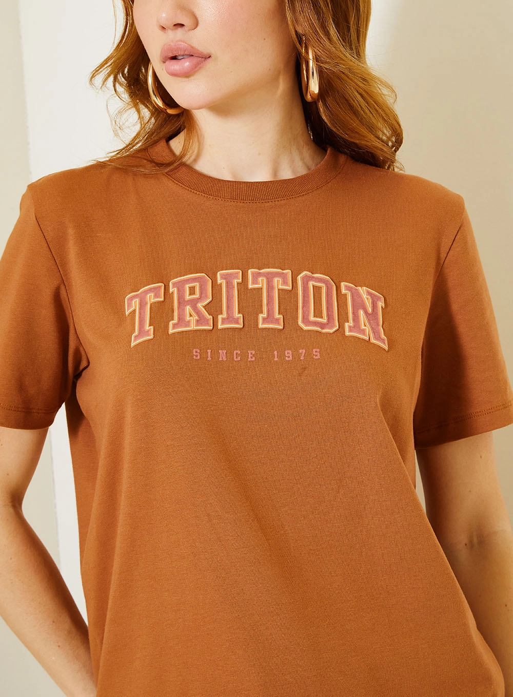 Camiseta Comfort Com Lettering Bordado Marrom 4