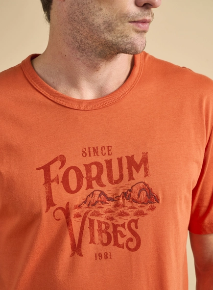 Camiseta Masculina New Box Estampada Com Bordado