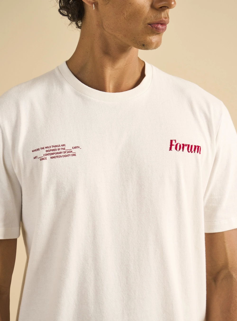 Camiseta Masculina New Box 1981 Off Shell 4