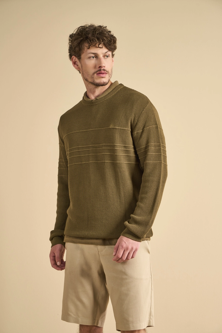 Suéter Tricô Masculino Jacquard Verde 1