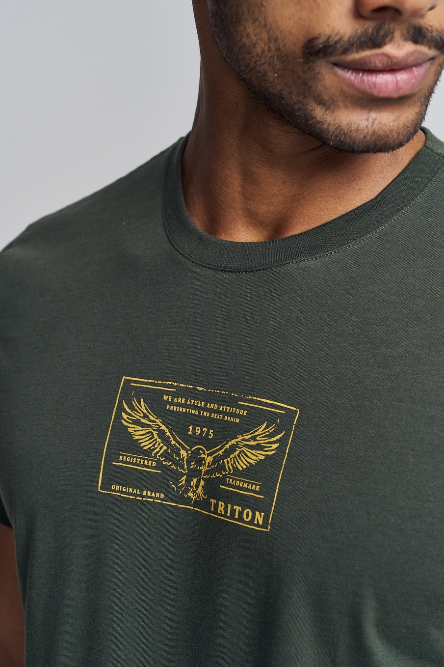 Camiseta Masculina Regular Com Estampa Frontal Verde 3