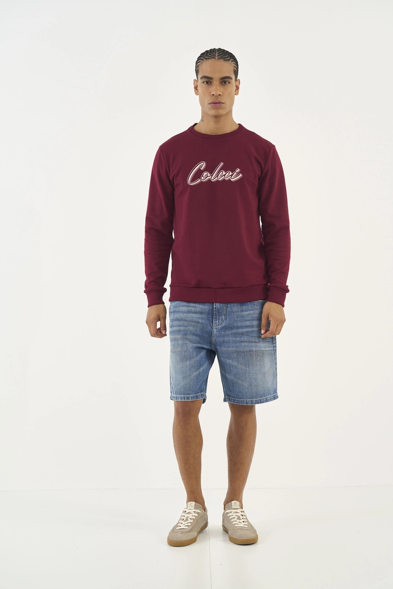 Blusão Moletom Slim Com Logo