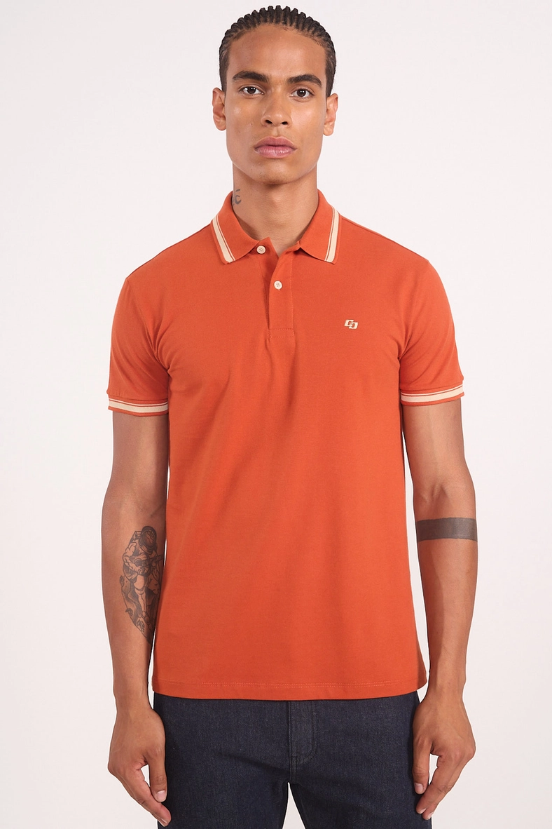 Polo Masculina Friso Duplo | Colcci
