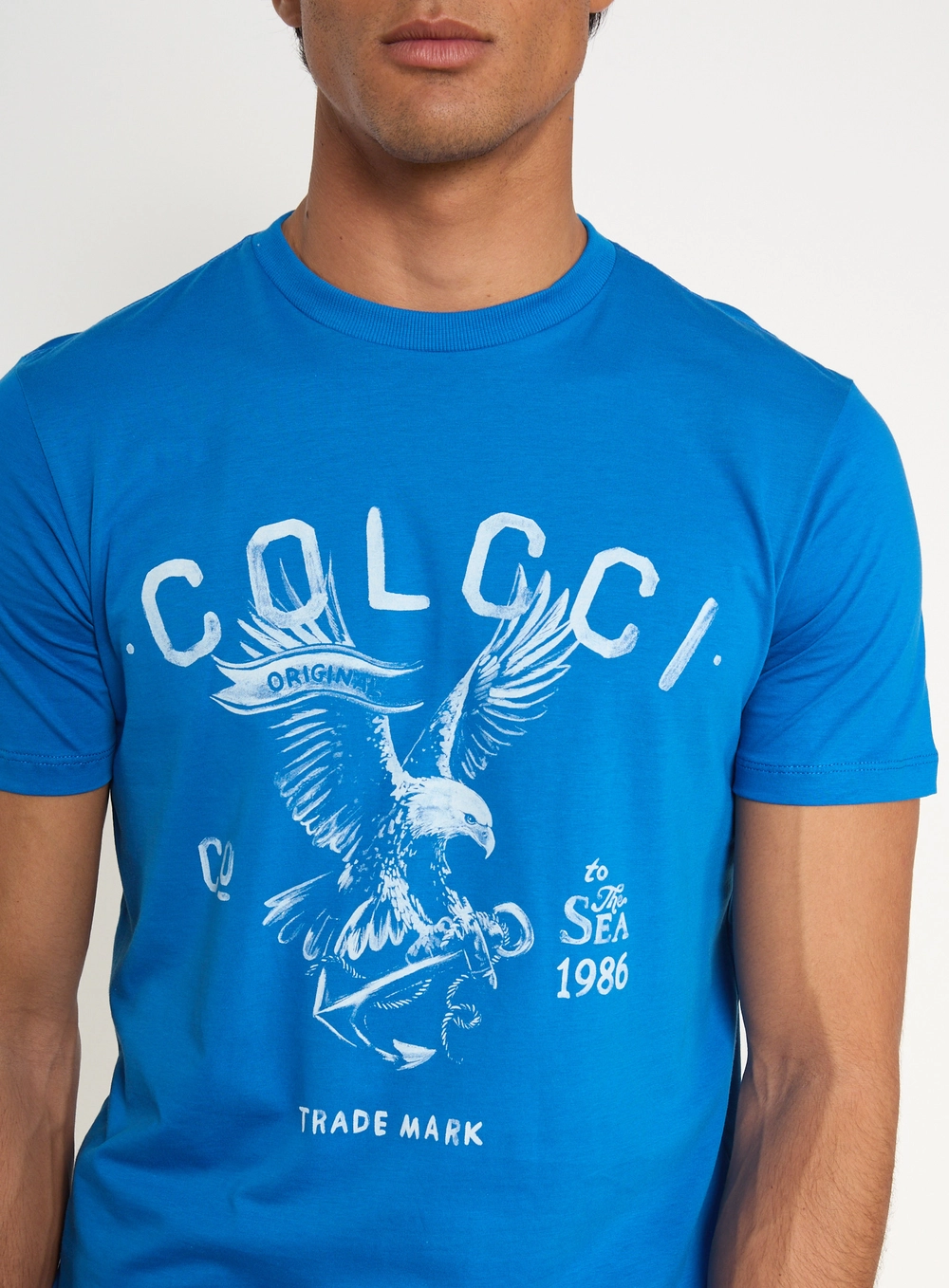 Camiseta Masculina Com Estampa De Águia Azul