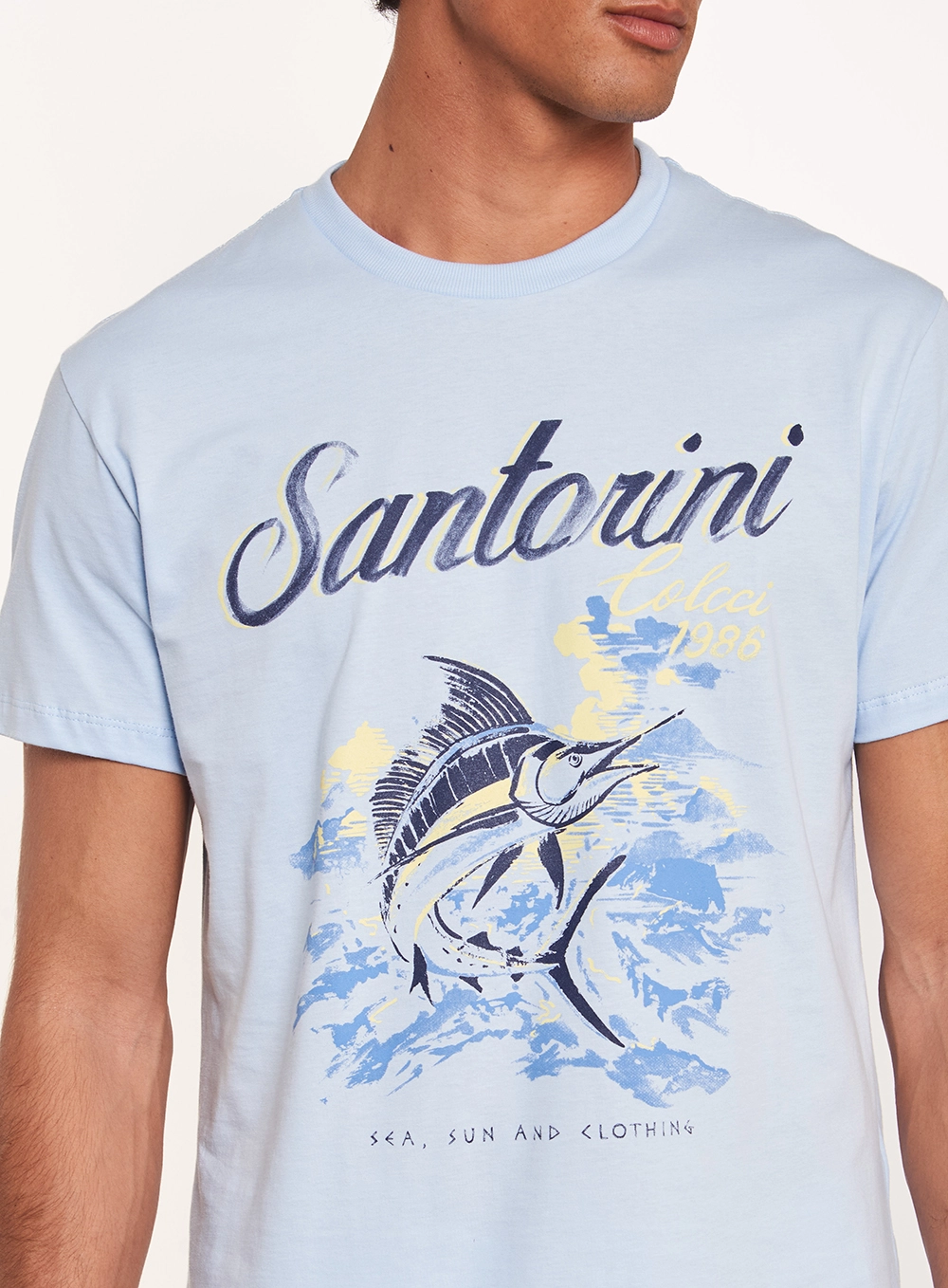 Camiseta Masculina Regular Estampada Azul