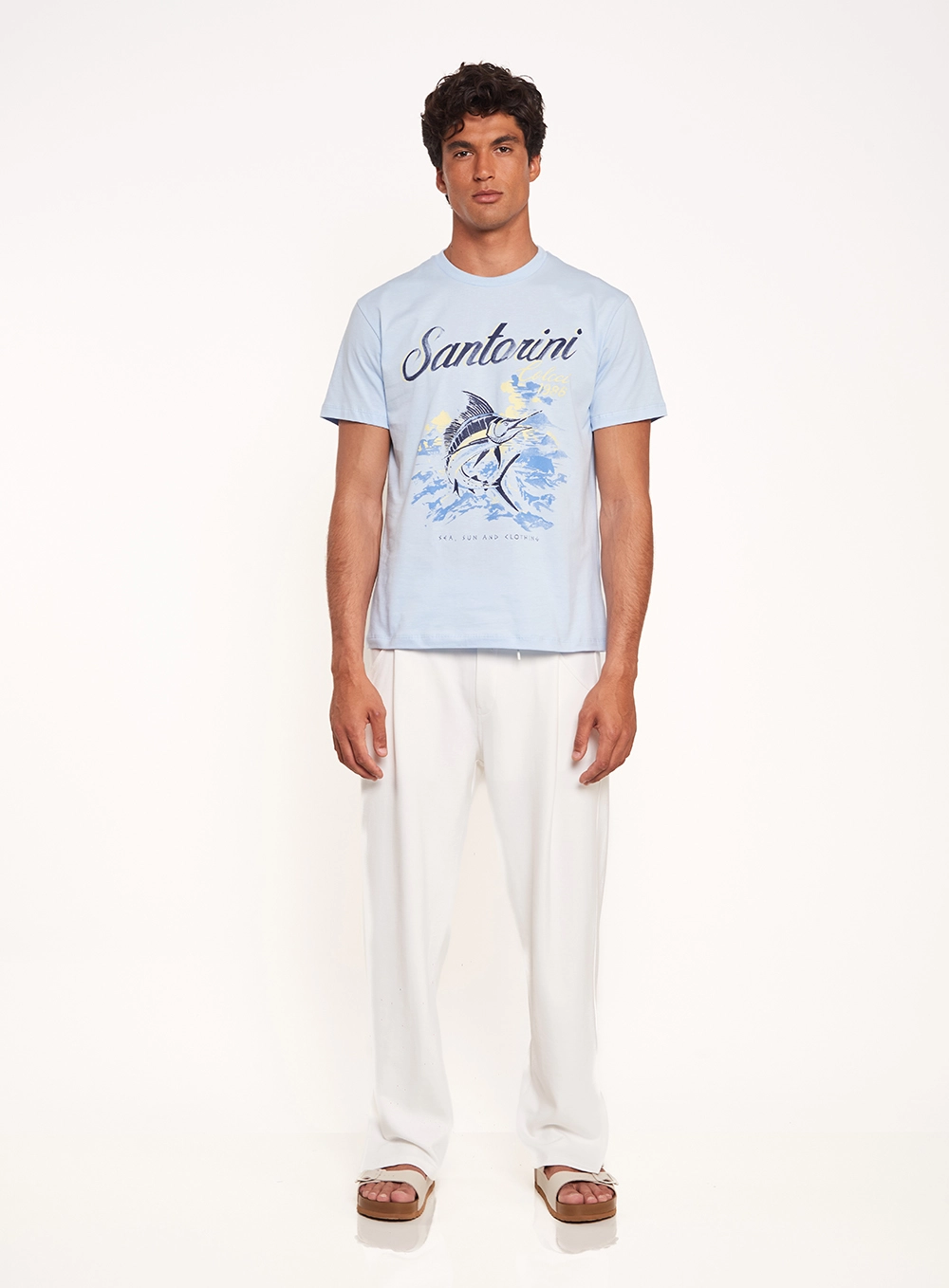 Camiseta Masculina Regular Estampada Azul