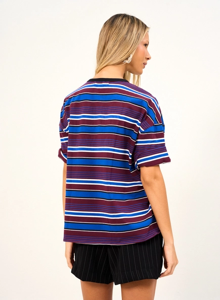 Camiseta Listrada Com Bordado